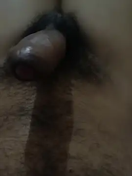sids2891 Live XXX-chat