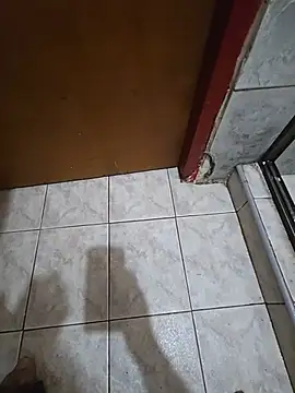 pepinoporelculon Webbikameraesitys