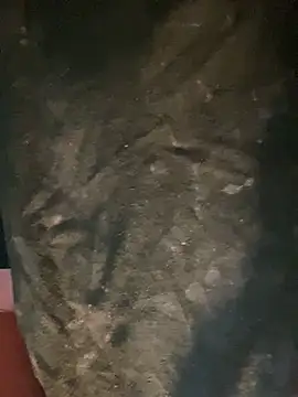 Hotguy3000 Adlı Modelin Canlı XXX Sohbeti