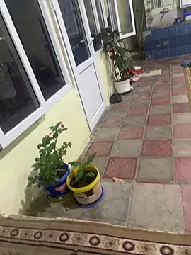 dragon_ndragos Webcamshow