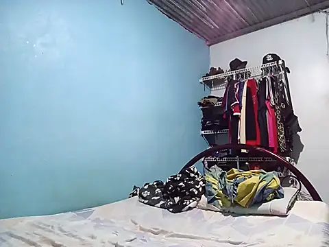 idbsj Pertunjukan Webcam