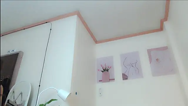 MissBlair_conklinn Webbikameraesitys