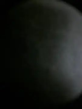 apolodiosgriego Webcam Show