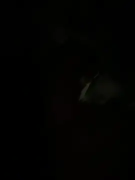 Webkamerová show MeladoDiMel