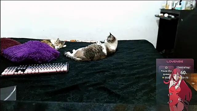 Živý XXX chat cherrydelioncourt