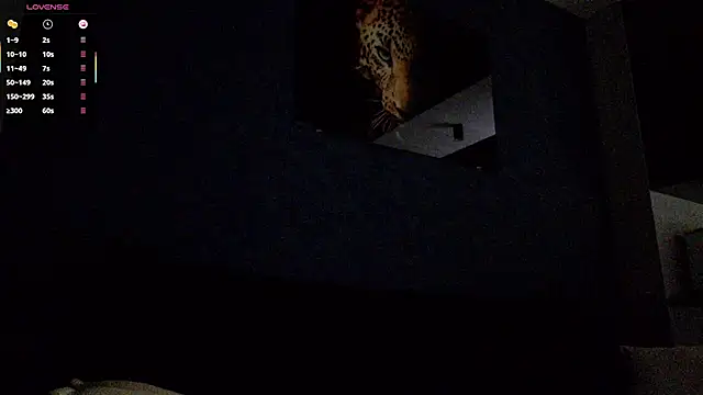 Chat +18 de Zenvyra ao vivo