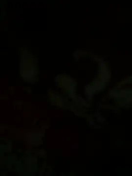 הופעת וובקאם של hornygirl_2026