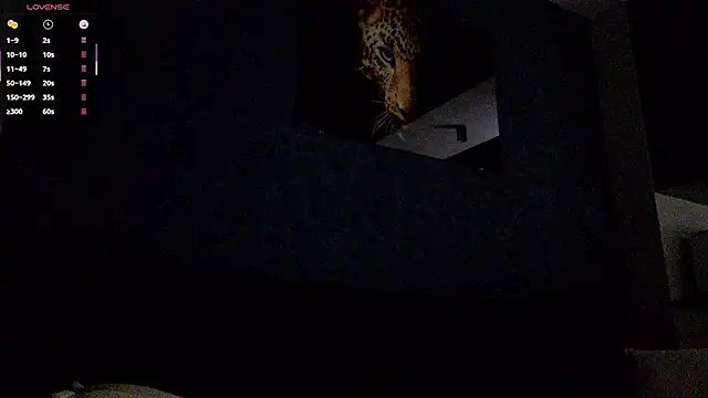 Chat +18 de Zenvyra ao vivo