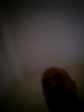 Chat XXX Live AMIRDIB2025