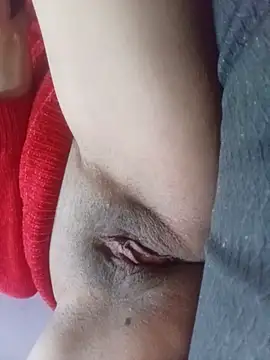 Sembang XXX Secara Langsung dulcevitasex