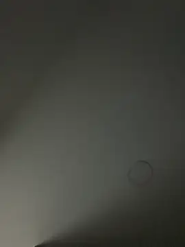 profekeiler webcam show