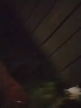 Živý XXX chat TWiSTYTheTwizted