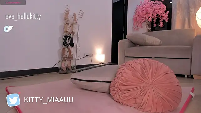 kitty_miaa Adlı Modelin Canlı XXX Sohbeti