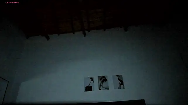 MaxPower003 élő XXX-chatje