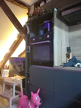Webkamerová show Bababuji2024