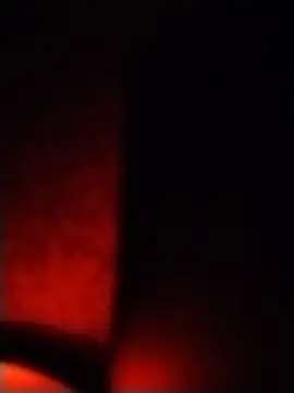 Juliemstoma élő XXX-chatje