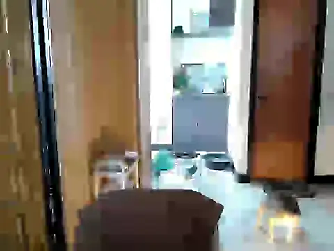 Chat +18 de jakoloten ao vivo
