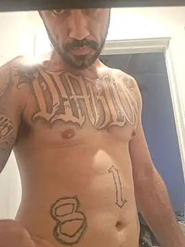 Show Webcam de chileNbeans