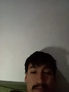 stefamholmes live XXX chat