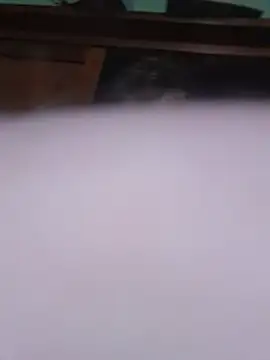 Živý XXX chat plumber987