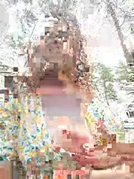 EvaXOAir Show Webcam