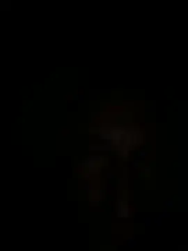 Durako4k Webcam show