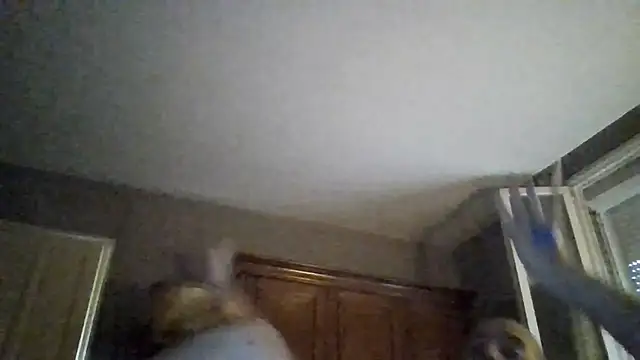 jyl151 Webcam-Show