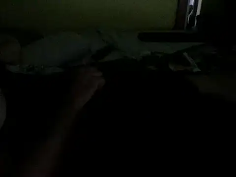 Show webcam de s_urprise