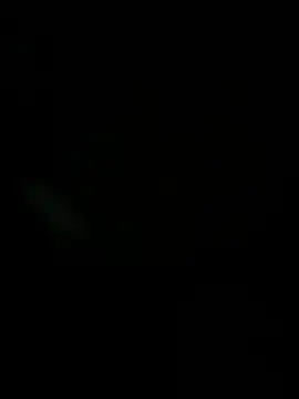 Show de webcam de Z20011