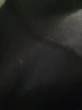 zew_wezn Webbikameraesitys