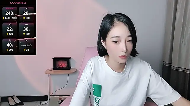 YIWA-2000 Show Webcam