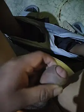 Pertunjukan Kamera Web Manyy550