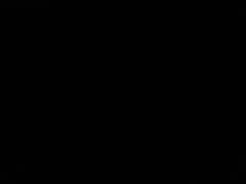 Show webcam de Blkstylion