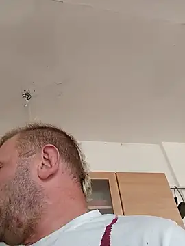 הופעת וובקאם של Michangelles