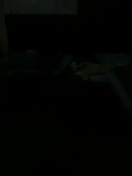 themexaboy Chat XXX in diretta