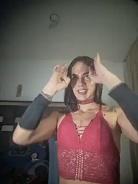 michaeldissts Live XXX-chat