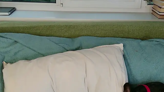 -13- 在線直播表演