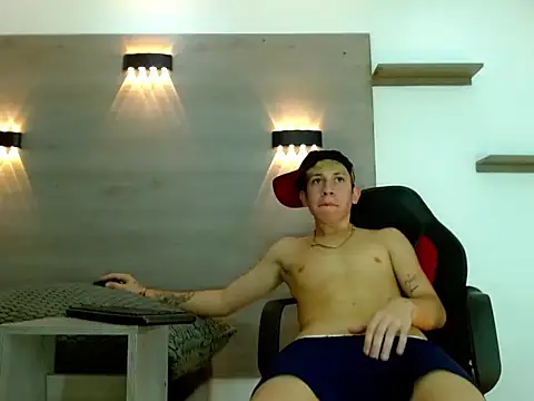 Show webcam de Gaeliitto
