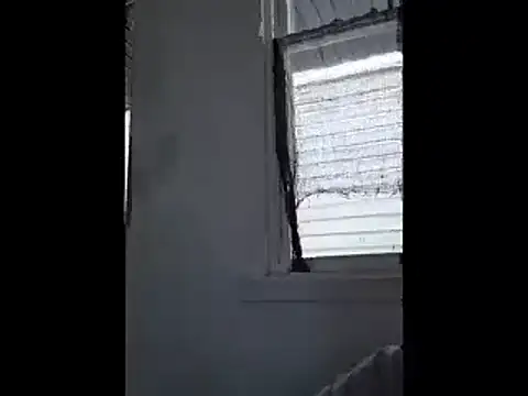 Reavynnaのウェブカメラショー