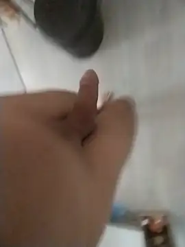 Show de webcam de gtunderr
