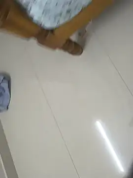 Show webcam de nithisg1223