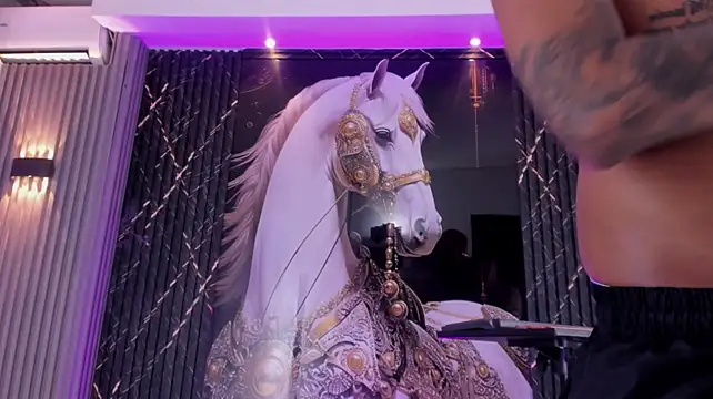 the_knights_of_the_night_n Webbikameraesitys