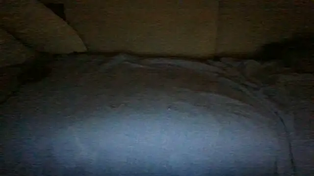 chichoplus' Webcam Show
