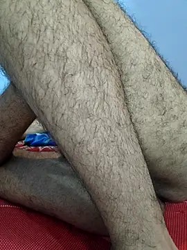 Show webcam de Sexyboycroy