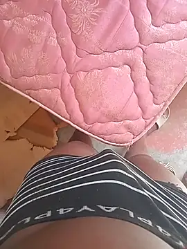 WiseDi Show in webcam