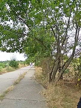 Živý XXX chat AndreeaMuller