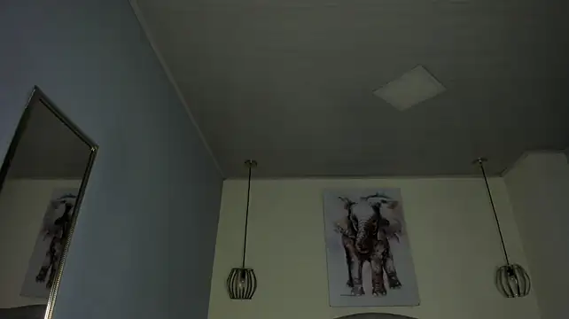 ayshel__ 라이브 XXX 채팅