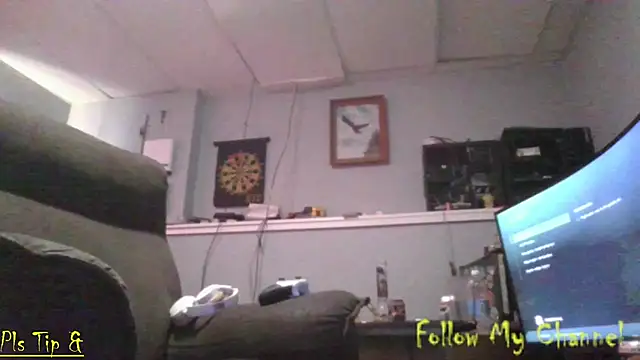 Show webcam de Nb1979
