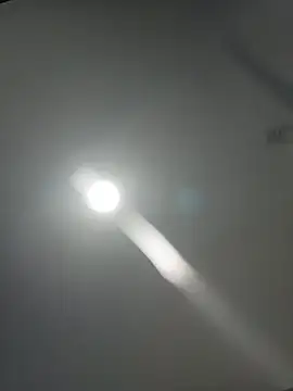 queennapal's Webcam Show