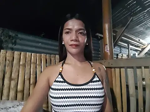 SofiaLibreTs 网络视讯表演